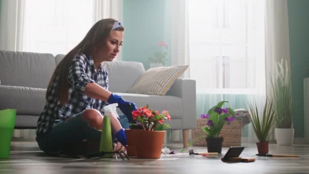 Vrouw is het planten van woning en praten met vriend Online — Stockvideo