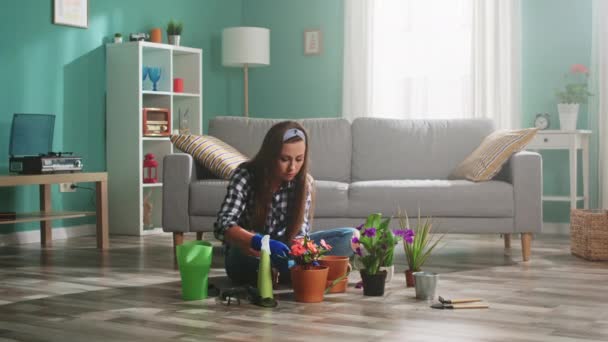 La mujer cuida de las plantas domésticas — Vídeo de stock