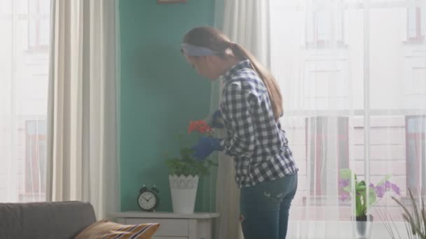 Жінка поливає квіти вдома — стокове відео