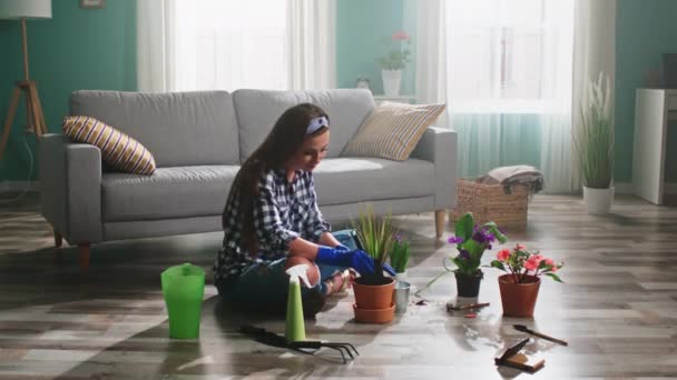 Mujer joven está plantando planta de casa — Vídeo de stock