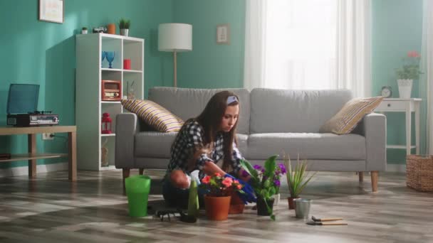 若い女性は植物の世話をしています — ストック動画