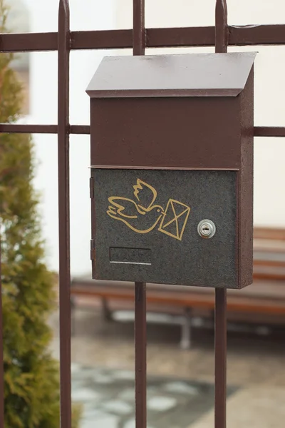 bir güvercin ile bir mektup