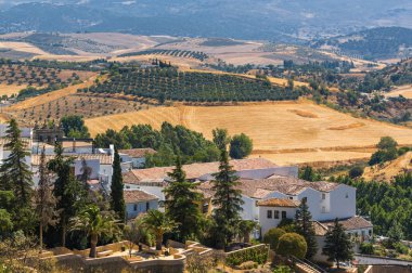 Ronda, Malaga Eyaleti, İspanya yakınındaki kırsal alanlarının güneşli görünümü.