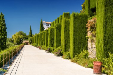 Generalifa bahçeleri ile doğru Andalusia Eyaleti, İspanya üzerinde büyük yeşil çit yan patika.