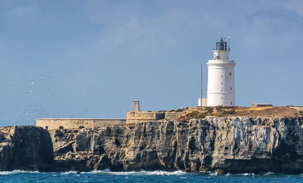 Deniz feneri bağlantı noktasının Tarifa, Andalusia sağlayamadığından, İspanya güneşli görünümü.
