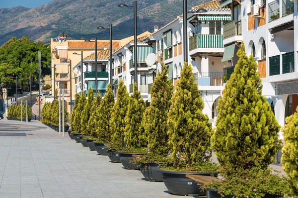 Benalmadena, 말라가 지방, 스페인에서에서 거리를 따라 나무의 수. — 스톡 사진