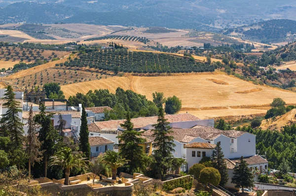 Vista soleada de campos rurales cerca de Ronda, provincia de Málaga, España . —  Fotos de Stock