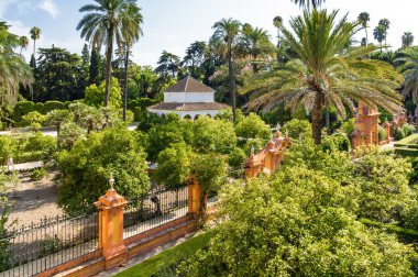 Alcazar Sarayı: Sevilla, Andalusia Eyaleti, İspanya'nın iç güzel bahçeleri.
