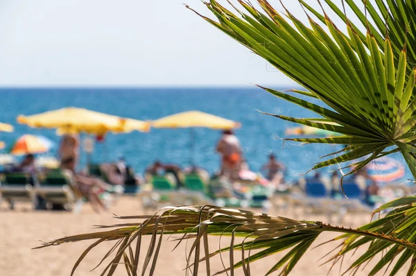 Vista soleada en la playa de Calella cerca de Barcelona, España . — Foto de Stock