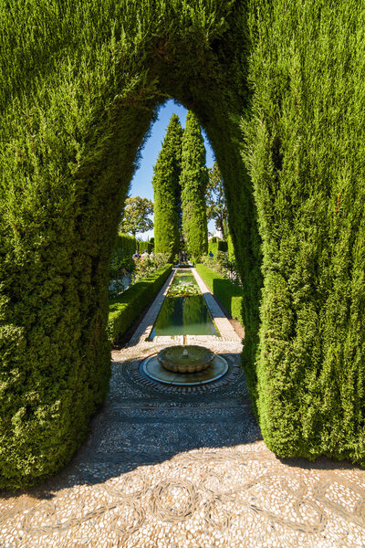 Range of tall bushes in the garden of Generalife, Granada, Andalusia province, Spain.