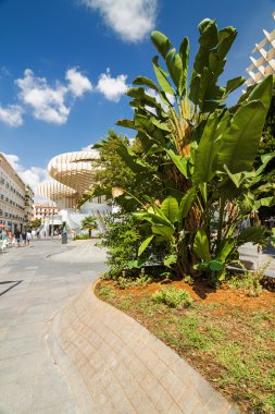 Güneşli Plaza Encarnacion, Andalusia il Metropol şemsiye görünümünü.