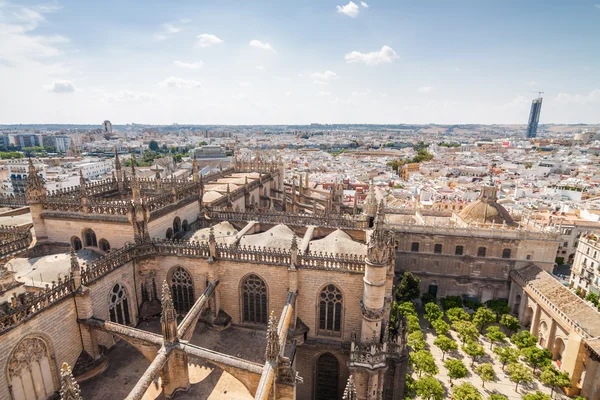 Vista soleada del jardín interior de la Catedral desde el mirador de la Giralda en Sevilla, provincia de Andalucía, España . — Foto de Stock