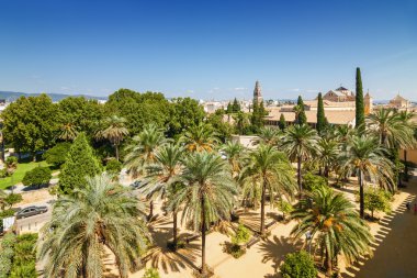 Güneşli Cordoba görünümünden Alcazar, Andalusia Eyaleti, İspanya bakış.