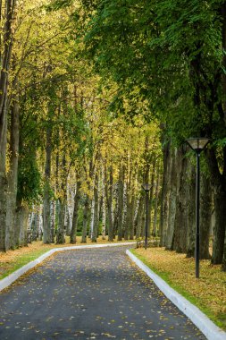 Klyazma rezervuarı yakınlarındaki sonbahar otelinin güneşli manzarası, Moskova bölgesi, Rusya.