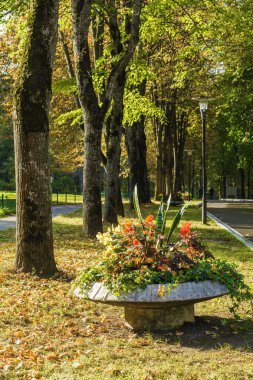 Klyazma rezervuarı yakınlarındaki sonbahar otelinin güneşli manzarası, Moskova bölgesi, Rusya.