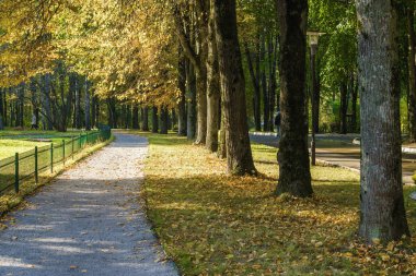 Klyazma rezervuarı yakınlarındaki sonbahar otelinin güneşli manzarası, Moskova bölgesi, Rusya.