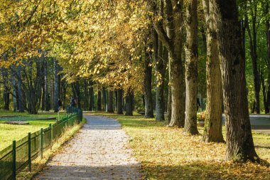 Klyazma rezervuarı yakınlarındaki sonbahar otelinin güneşli manzarası, Moskova bölgesi, Rusya.