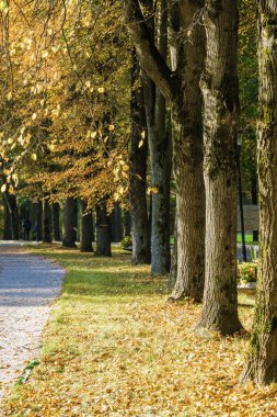 Klyazma rezervuarı yakınlarındaki sonbahar otelinin güneşli manzarası, Moskova bölgesi, Rusya.