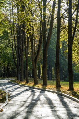 Klyazma rezervuarı yakınlarındaki sonbahar otelinin güneşli manzarası, Moskova bölgesi, Rusya.