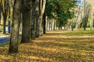 Klyazma rezervuarı yakınlarındaki sonbahar otelinin güneşli manzarası, Moskova bölgesi, Rusya.