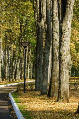 Klyazma rezervuarı yakınlarındaki sonbahar otelinin güneşli manzarası, Moskova bölgesi, Rusya.