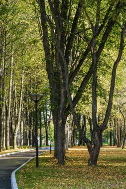 Klyazma rezervuarı yakınlarındaki sonbahar otelinin güneşli manzarası, Moskova bölgesi, Rusya.