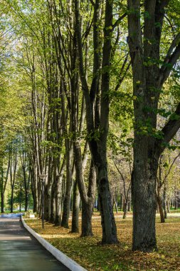 Klyazma rezervuarı yakınlarındaki sonbahar otelinin güneşli manzarası, Moskova bölgesi, Rusya.