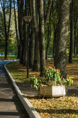 Klyazma rezervuarı yakınlarındaki sonbahar otelinin güneşli manzarası, Moskova bölgesi, Rusya.