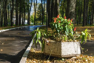 Klyazma rezervuarı yakınlarındaki sonbahar otelinin güneşli manzarası, Moskova bölgesi, Rusya.