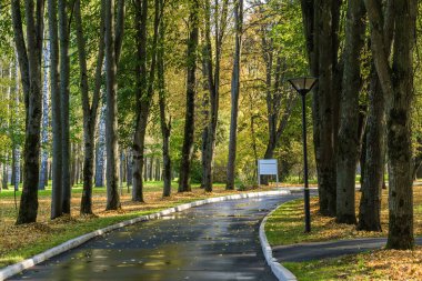 Klyazma rezervuarı yakınlarındaki sonbahar otelinin güneşli manzarası, Moskova bölgesi, Rusya.
