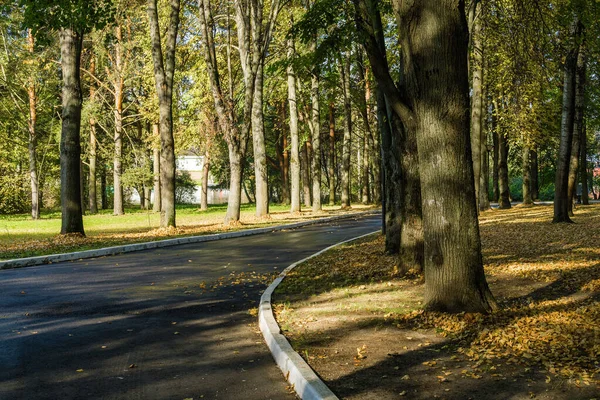 stock image Sunny view of autumn park of holiday hotel near Klyazma reservoir, Moscow region, Russia.