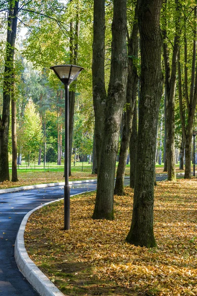 Klyazma rezervuarı yakınlarındaki sonbahar otelinin güneşli manzarası, Moskova bölgesi, Rusya.