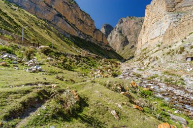 Kuzey Kafkasya, Kabardino-Balkaria, Rusya 'daki Eltyulbyu köyü yakınlarındaki güzel dağların ve nehrin güneşli manzarası.