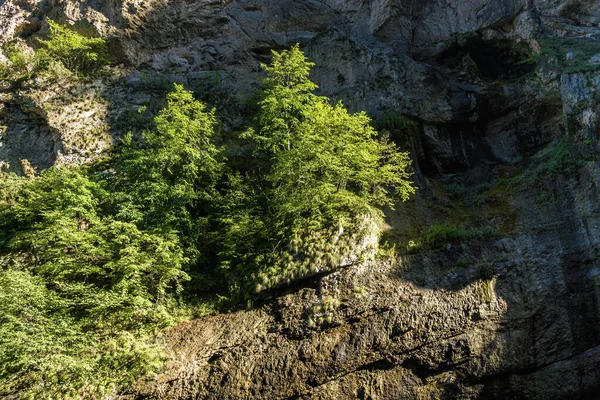 Schöne Aussicht Auf Die Chegem Wasserfälle Der Chegem Schlucht Nordkaukasus lizenzfreie Stockfotos