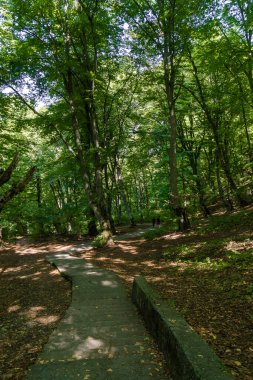 Nalchik, Kabardino-Balkaria, Rusya 'daki Nartların Yolu.