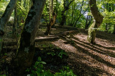 Nalchik, Kabardino-Balkaria, Rusya 'daki Nartların Yolu.