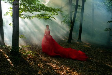 Uzun kırmızı elbiseli ve kraliyet taclı bir kadın. 