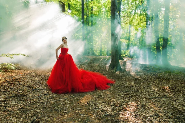 Ein Mädchen in einem langen roten Kleid und einer königlichen Krone — Stockfoto