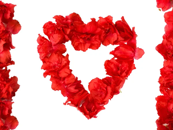 Μοτίβο λουλουδιών αζαλέα κόκκινο με μορφή της καρδιάς — Φωτογραφία Αρχείου