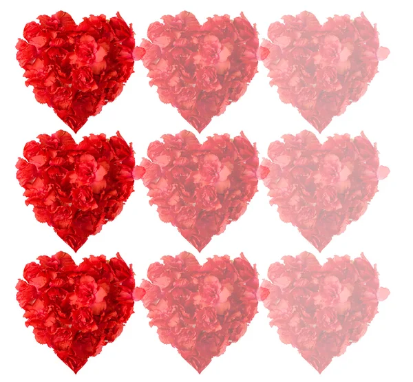Patrón de flores de azalea roja en forma de corazón — Foto de Stock