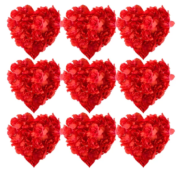 Patrón de flores de azalea roja en forma de corazón — Foto de Stock