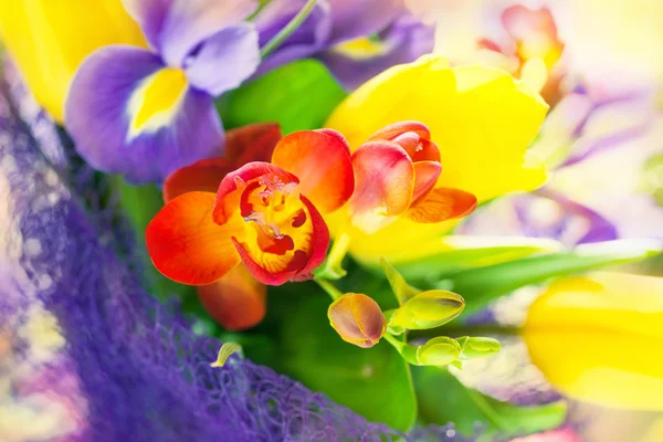 Beautiful colorful bouquet of fresh spring flowers — Stock Photo, Image