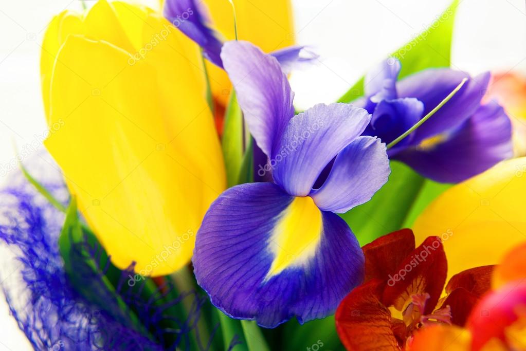 beautiful colorful bouquet of fresh spring flowers