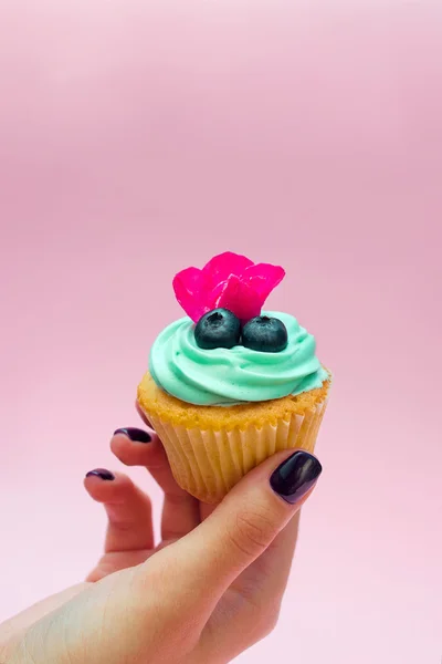 Cupcakes con crema de mantequilla y vainilla con arándanos con flores rosadas en la mano sobre fondo rosa —  Fotos de Stock