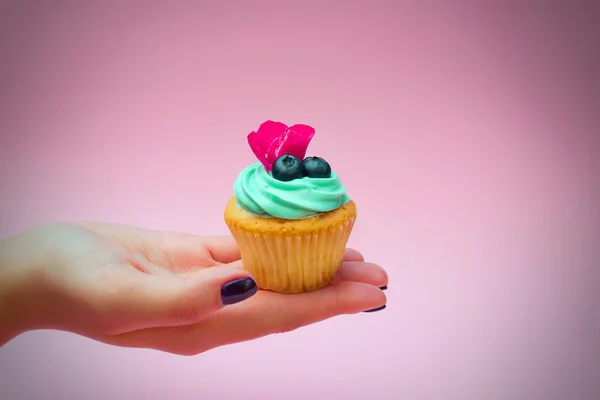 Cupcakes con crema de mantequilla y vainilla con arándanos con flores rosadas en la mano sobre fondo rosa —  Fotos de Stock