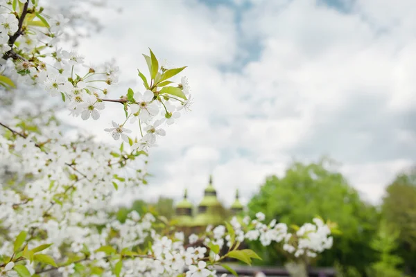 키예프에서 야외 우크라이나 국가 포크 역사적인 마에 꽃에서 나무와 나무 chirch — 스톡 사진