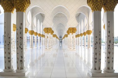 Sheikh zayed Camisi 