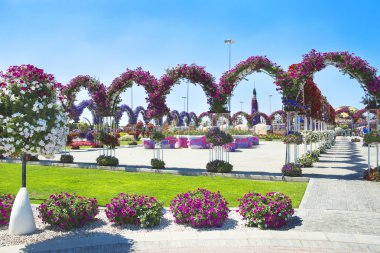 Dubai miracle garden clipart