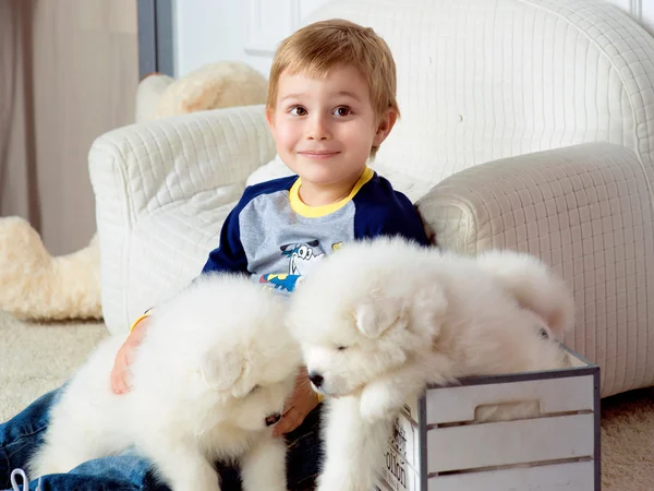 Boy with white puppies — Stock Photo, Image