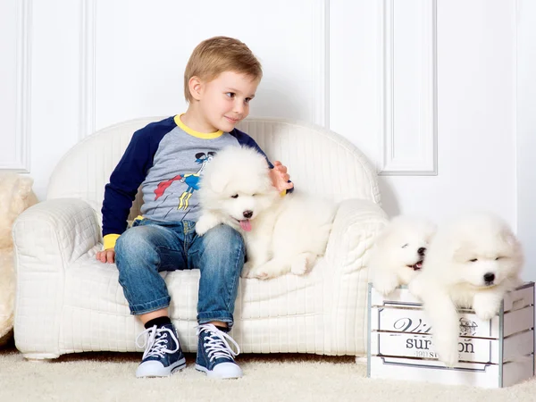 Boy with white puppies — Stock Photo, Image